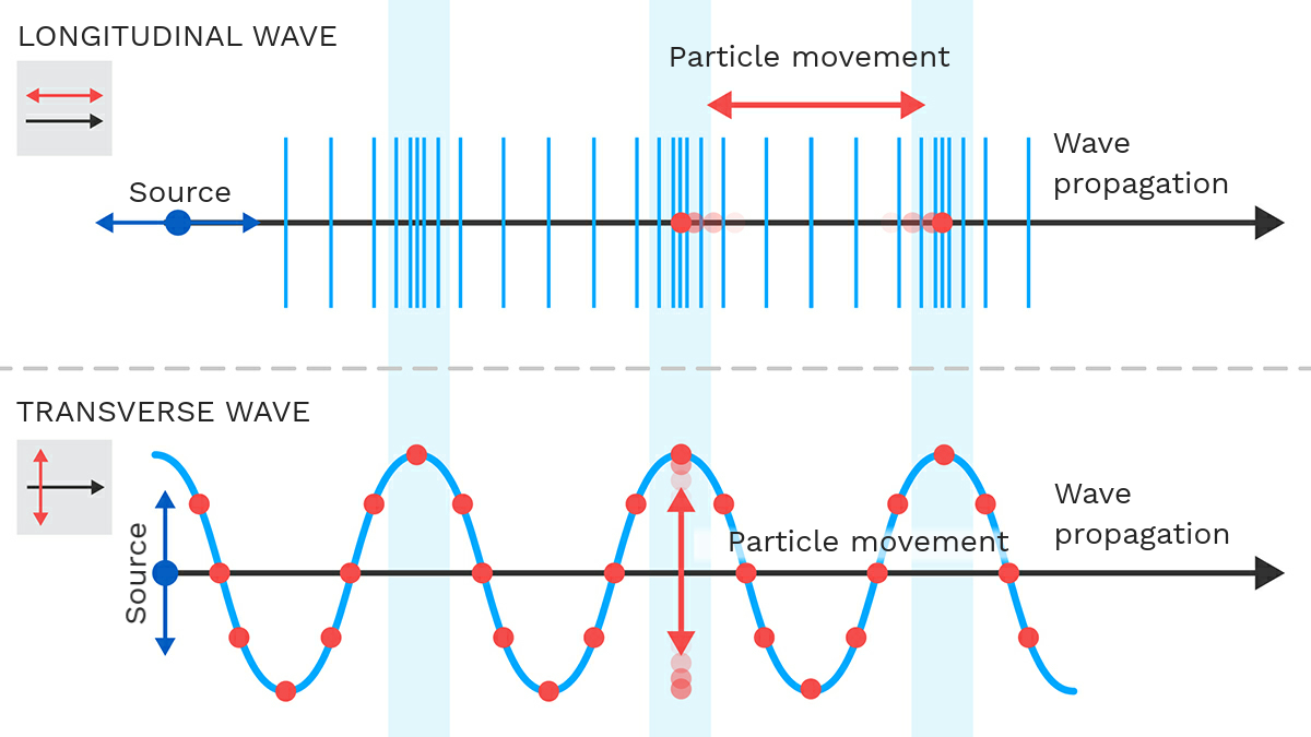 Longitudinal Waves Labeled Diagram